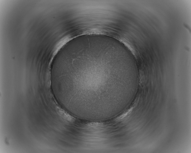 X0000097471075200803141908