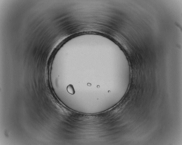 X0000097471076200803141908