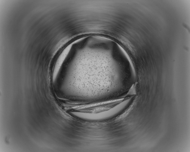X0000097471077200803141908