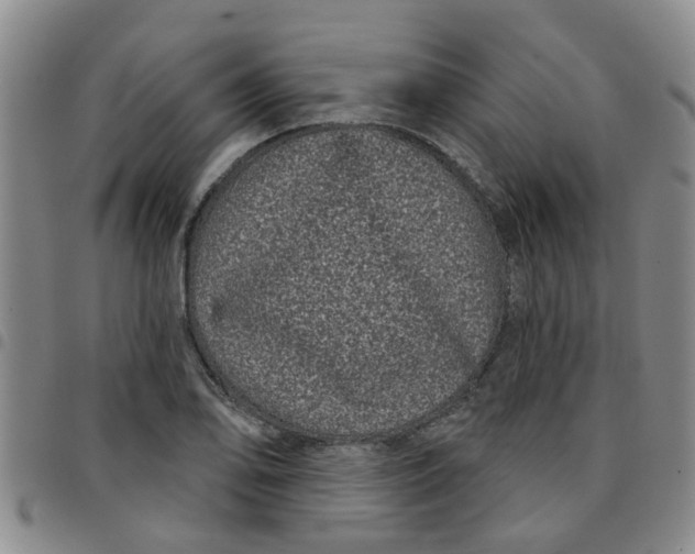X0000097471078200803141908