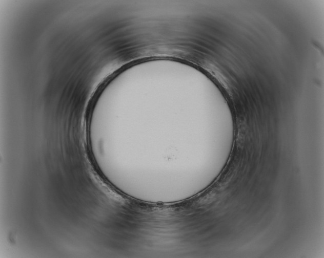 X0000097471080200803141908