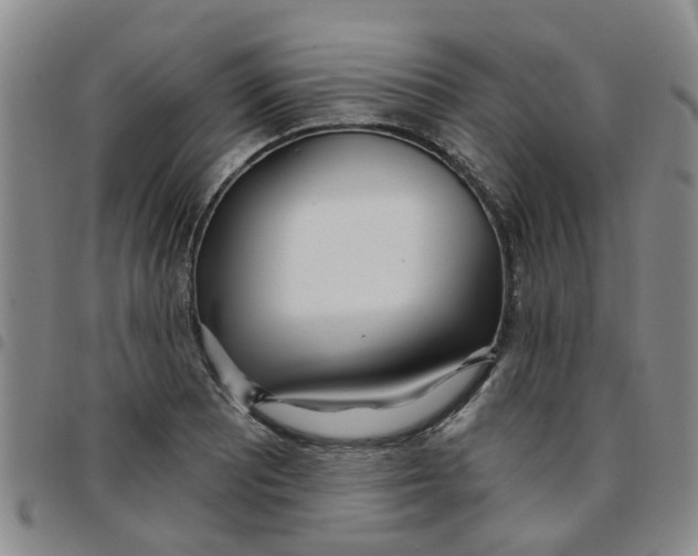 X0000097471081200803141908