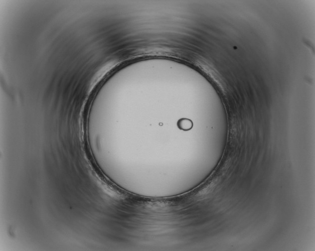 X0000097471082200803141908