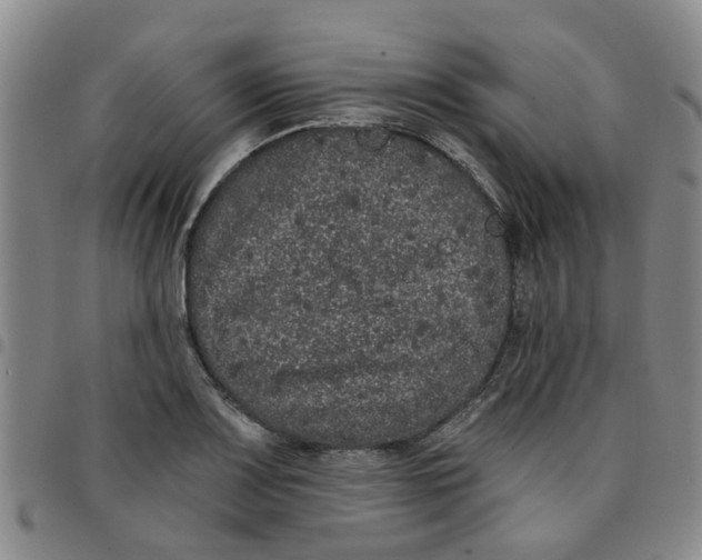 X0000097471083200803141908