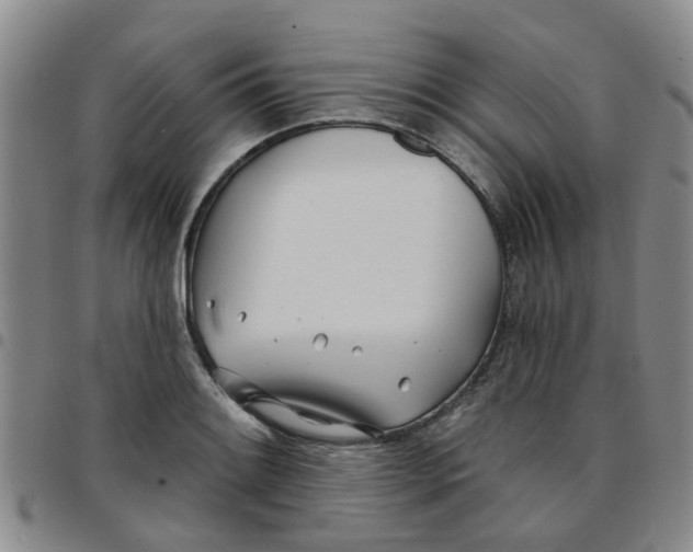 X0000097471084200803141908
