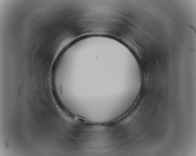 X0000097471085200803141908
