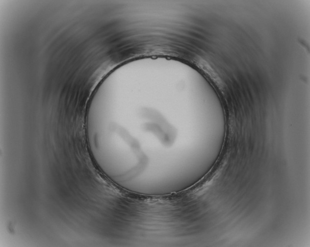 X0000097471089200803141908