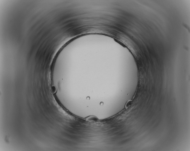 X0000097471092200803141908