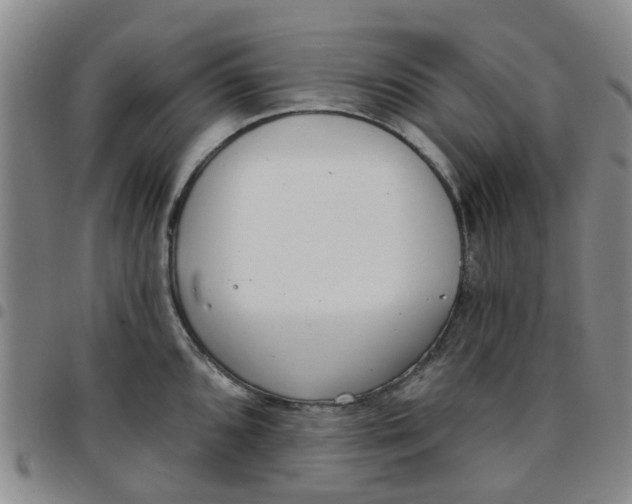 X0000097471096200803141908