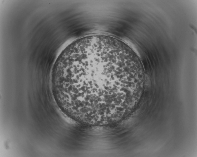 X0000097471098200803141908