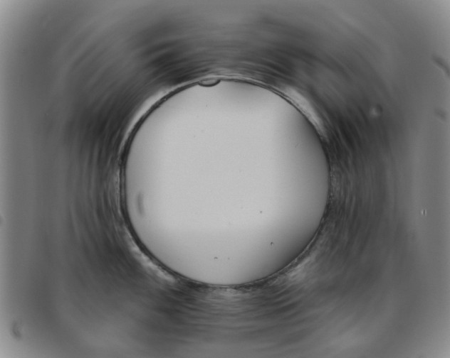 X0000097471100200803141908