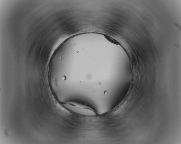X0000097471102200803141908