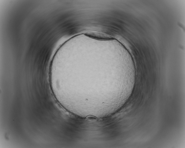 X0000097471104200803141908