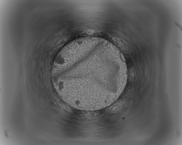X0000097471105200803141907