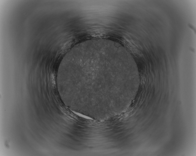 X0000097471106200803141907