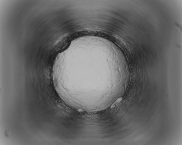X0000097471110200803141907