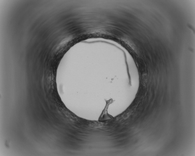 X0000097471111200803141907