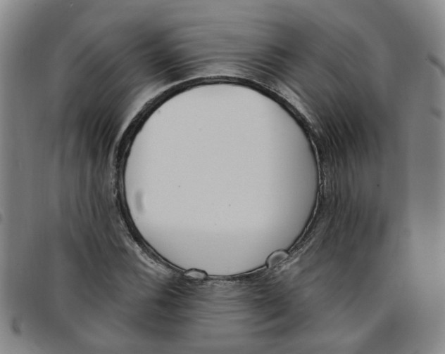 X0000097471116200803141907