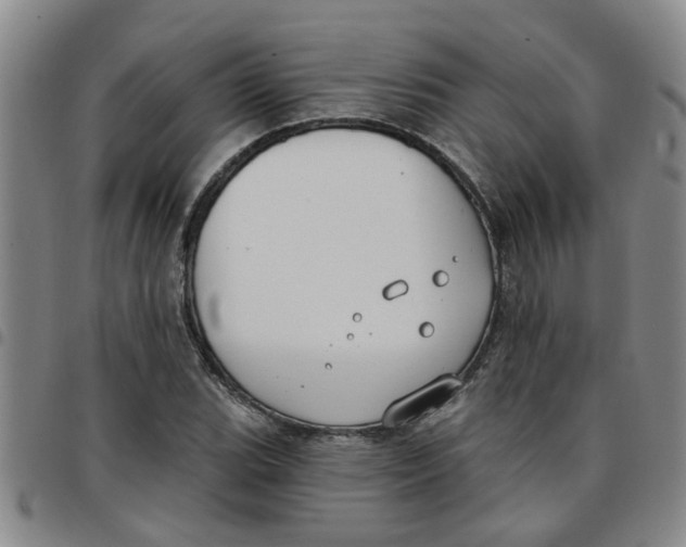 X0000097471119200803141907