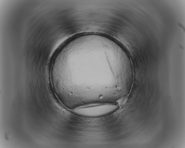 X0000097471120200803141907