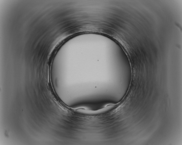 X0000097471123200803141907