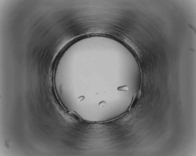 X0000097471124200803141907