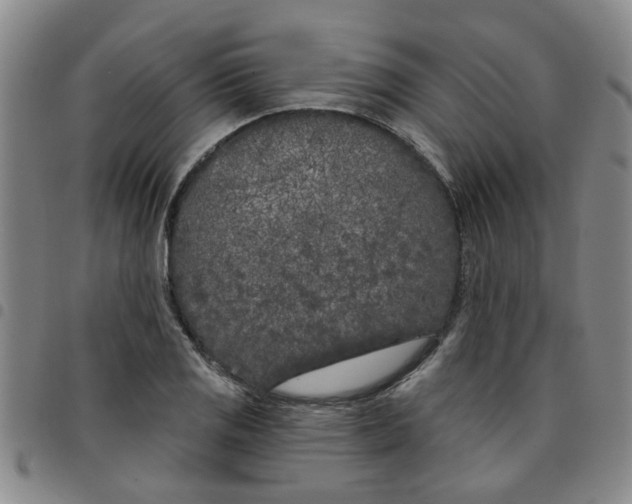 X0000097471125200803141907
