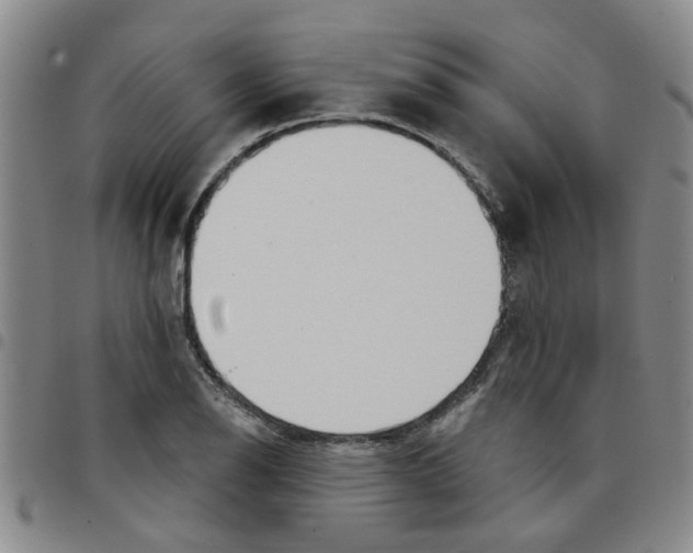 X0000097471126200803141907