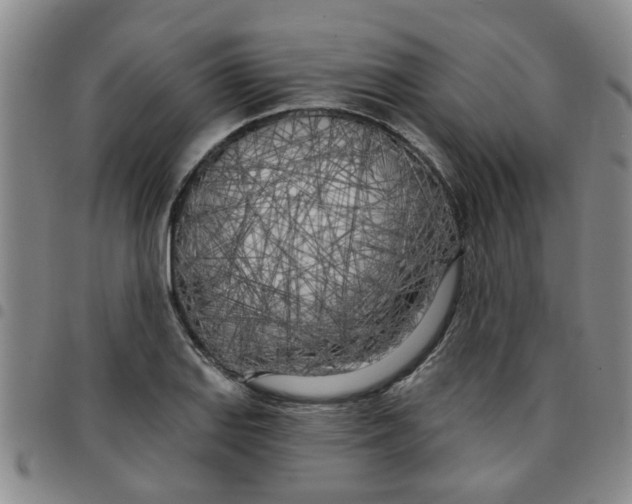 X0000097471127200803141907