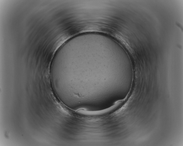 X0000097471129200803141907