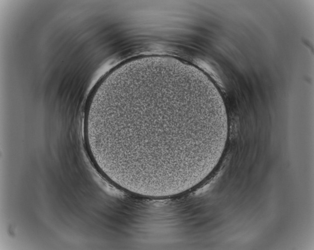 X0000097471130200803141907