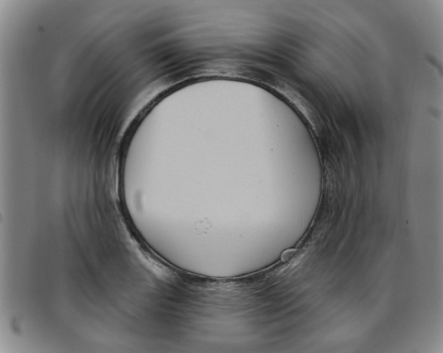 X0000097471131200803141907