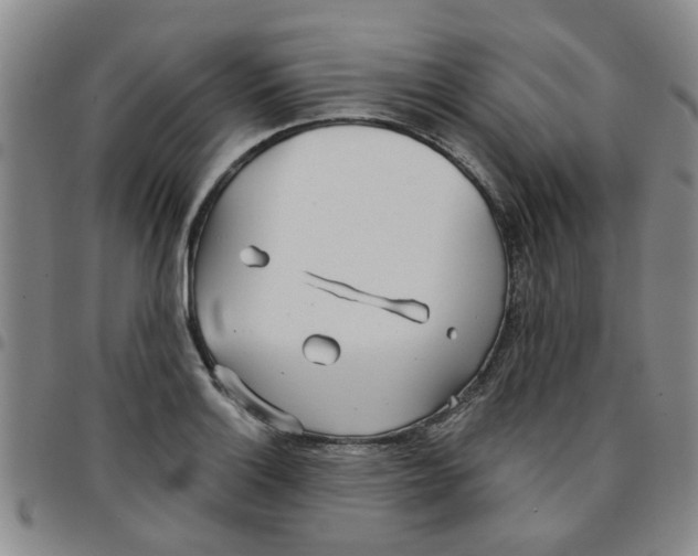 X0000097471132200803141907