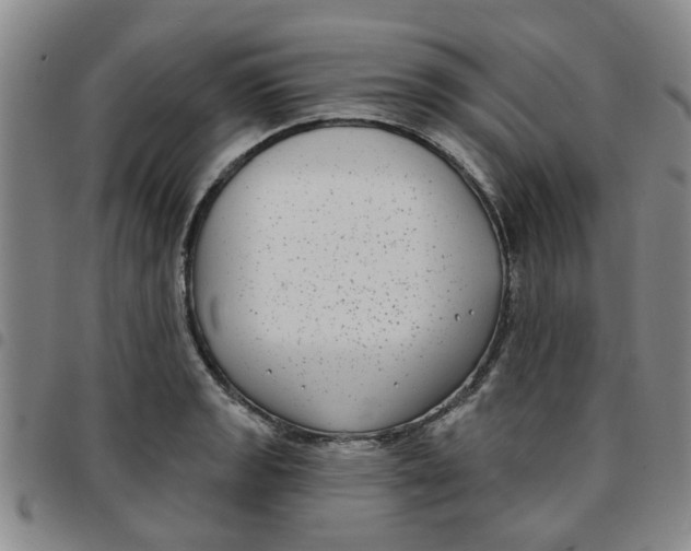 X0000097471133200803141907