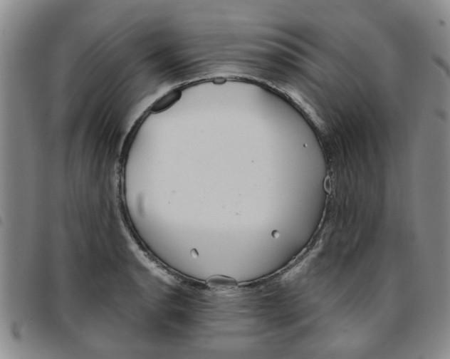 X0000097471134200803141907