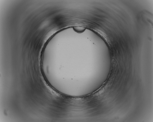 X0000097471135200803141907