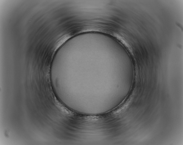 X0000097471137200803141907