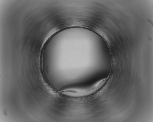 X0000097471138200803141907