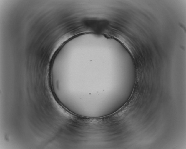 X0000097471139200803141907