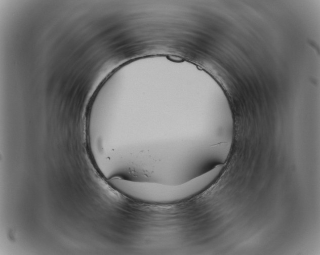 X0000097471140200803141907