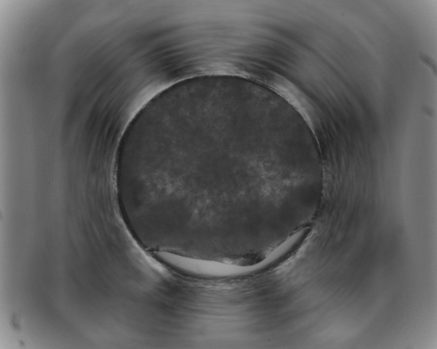X0000097471141200803141907