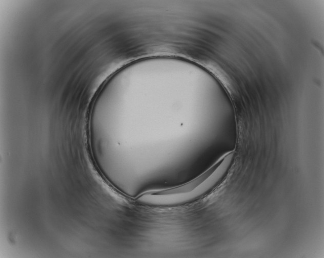 X0000097471142200803141907