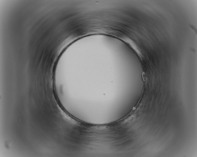 X0000097471143200803141907