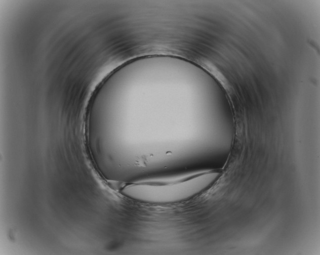 X0000097471144200803141907