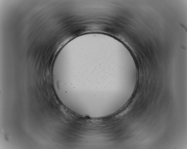 X0000097471145200803141907