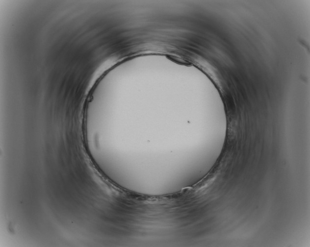 X0000097471146200803141907