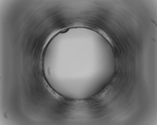 X0000097471148200803141907