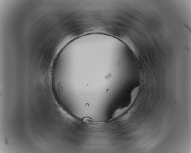 X0000097471151200803141908