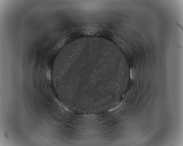 X0000097471155200803141907