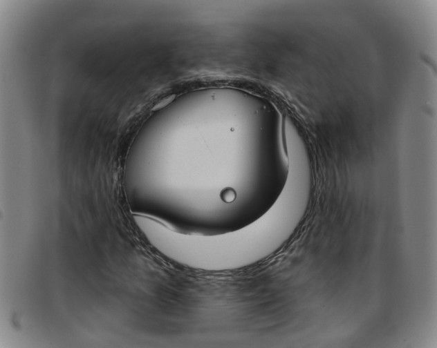 X0000097471157200803141907